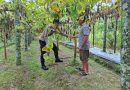 Dukung Ketahanan Pangan Nasional, Bhabinkamtibmas Polsek Kluet Timur Sambangi Lahan Pekarangan Produktif