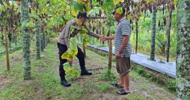Dukung Ketahanan Pangan Nasional, Bhabinkamtibmas Polsek Kluet Timur Sambangi Lahan Pekarangan Produktif Dukung Ketahanan Pangan Nasional, Bhabinkamtibmas Polsek Kluet Timur Sambangi Lahan Pekarangan Produktif