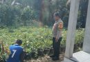 Bhabinkamtibmas Polsek Samadua Intensif Sambangi Lahan Produktif, Perkuat Ketahanan Pangan dan Kamtibmas