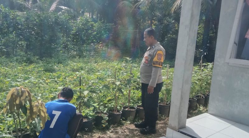 Bhabinkamtibmas Polsek Samadua Intensif Sambangi Lahan Produktif, Perkuat Ketahanan Pangan dan Kamtibmas Bhabinkamtibmas Polsek Samadua Intensif Sambangi Lahan Produktif, Perkuat Ketahanan Pangan dan Kamtibmas
