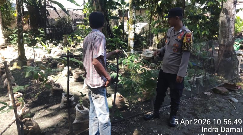 Dukung Ketahanan Pangan, Bhabinkamtibmas Polsek Kluet Selatan Sambangi Lahan Produktif Warga