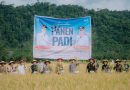 Kapolres Aceh Selatan Bersama Forkopimda Hadiri Gerakan Panen Padi Varietas Unggul, Perkuat Swasembada Pangan