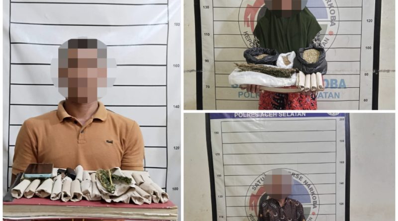 Satresnarkoba Polres Aceh Selatan Bongkar Jaringan Peredaran Ganja, Tiga Pelaku Ditangkap dan 110 Batang Ganja Disita
